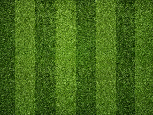 Grass parallel lines_crop